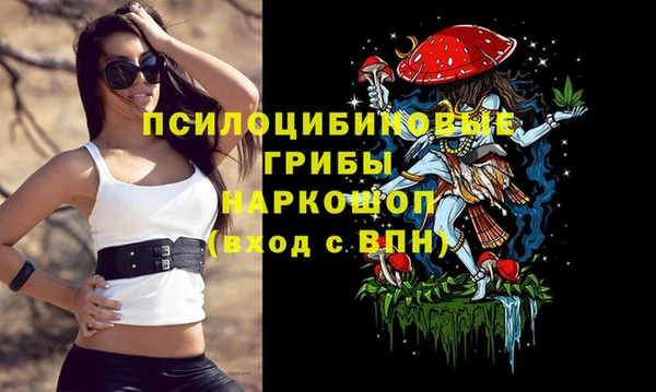 МДПВ Липки