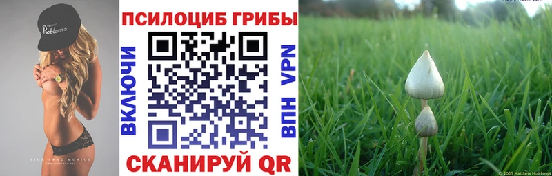 darknet телеграм  наркошоп  Курильск  Псилоцибиновые грибы Psilocybe 